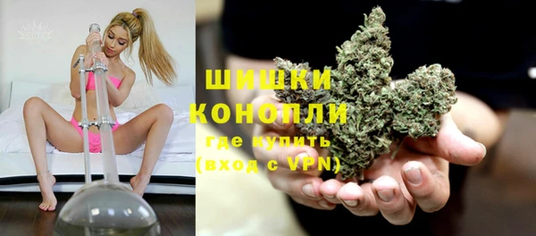 шишки Дмитриев