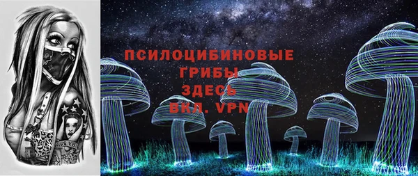 СК Дмитровск