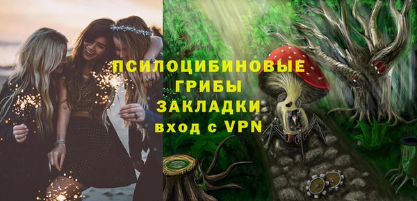 шишки Дмитриев