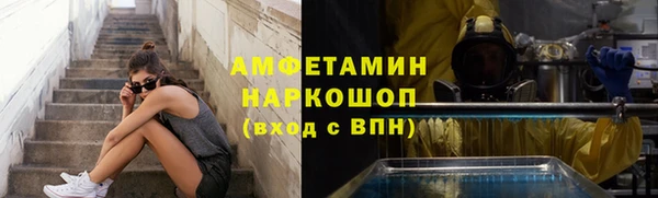 шишки Дмитриев