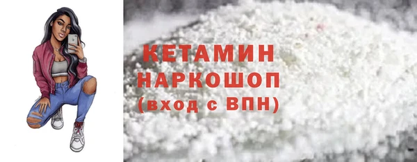 шишки Дмитриев
