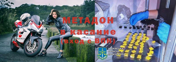 шишки Дмитриев