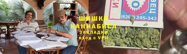 шишки Дмитриев